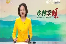 山东电视台《直播乡村》报道弘毅生态农场带动农民致富。视频封面