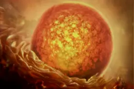 病毒和我们是什么关系？！看完这段视频我们就会释然于心。视频封面