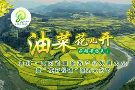 阳春三月，油菜花儿开，凤冈长碛等您来！图片