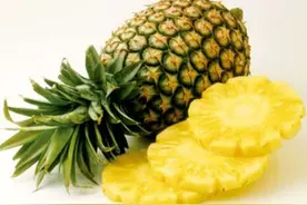 吃菠萝的功效和禁忌 怎样挑选新鲜菠萝图片