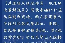 鲁能退役球员携妻围殴交警 已被刑事拘留图片