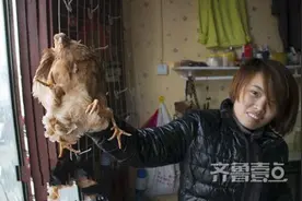 都市传说终成真，山东菏泽惊现“四腿鸡”图片