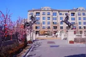 小石城·梦想小镇新市府央心·100万㎡梦想社区图片