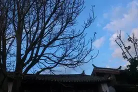 十年时间圆梦想，彩云之南有天堂图片