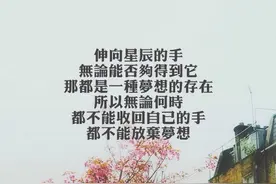 离开这个城市 让风带走我的故事图片