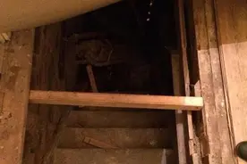 男子掀开家中的地毯发现神秘地下室，看到后真吓人！图片