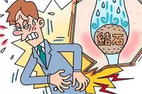 人患结石受不了，动物结石却是“宝”图片
