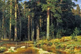 雾霾天来看看真正的“美”如画—俄罗斯风景画大师 希施金图片