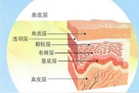 整天说护肤！你了解你的皮肤构成了吗？图片