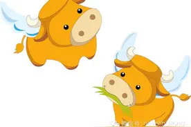 细数泰国人眼中动物代表的含义图片