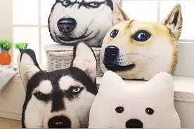 日本史上最具魔性的Doge抱枕 你想入手一个吗图片
