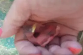 当捡起地上的鸟蛋时  她完全没有想到事情会是这样的图片
