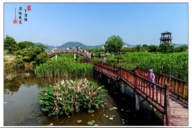 3月到德清踏青  欣赏“下渚湖”最美的春季桃红柳绿图片
