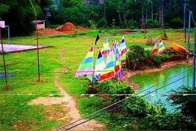 高州“四大园年例”农历二月初四约埋你图片