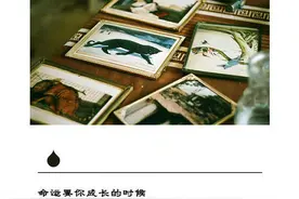 岁月可以带走一切 却无法带走那份执念与信仰图片