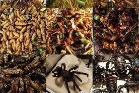 泰国重口味暗黑美食 有几款真的看看就好图片