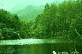 竹叶可治疗中暑图片