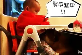 快吃！1岁宝宝偷给柴犬食物吃，他们偷偷合作的犯案过程好Q萌图片