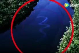卫星拍到亚马逊”巨大生物“，震惊所有人！视频封面