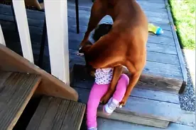 狗狗保护小主人的经典视频合集，狗狗也真是操碎了心，太感人了图片