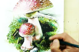 综合材料手绘教学：蘑菇图片