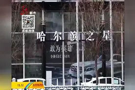 后续：哈尔滨市民新买奔驰车莫名熄火换新犯难图片