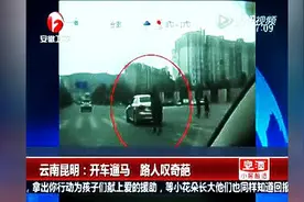 奇葩司机马路上开车遛马 围观者哈哈大笑图片