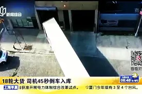 老司机开18轮大货车45秒完成倒车入库图片
