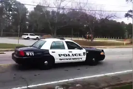 实拍美国警察钓鱼执法过程，司机不礼让行人就是这样的后果！图片