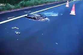 超级怀孕蟒蛇被碾死现场视频