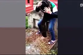震惊！清明上坟 大蟒蛇爬进棺材了视频封面