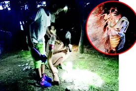 夜幕捕“猴”人：林间捉知了猴增夏日夜生活乐趣图片