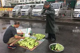 招远老人雨中卖玉米，五块钱十个图片