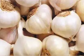 邳州的“一头蒜”到底有多牛，看完这篇微信你就知道了！图片