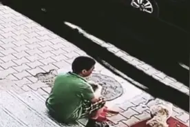 残忍！男子引诱小狗然后一刀砍下，警方已介入图片