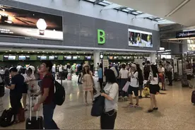 暑运提醒|上海机场哪些时段最为繁忙？又该如何避开安检高峰？图片