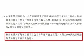 融创收购万达城细节：130亿管理费消失，账面325亿现金图片