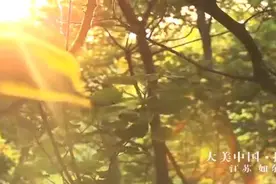 厉害了！央视一套《大美中国·揽夏》走进南通如东图片