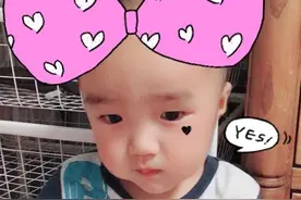 我居然跟他说我要去打老虎！图片