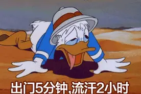 三伏天，热热热！宜兴竹海景区不仅能避暑，更有……图片
