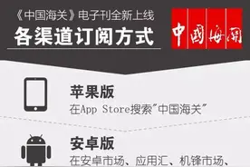 老林说法｜进口货物价格申报不实违规案件的定性处理图片