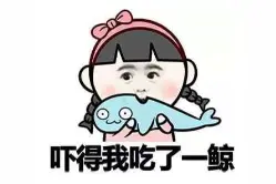 第一次见！坐飞机居然还有逃票的……还成功登机了……图片