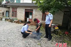 云南西畴县村民饲养23只国家保护动物被抓(图)图片