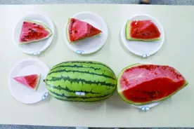 西瓜注了“红药水”？谣言图片