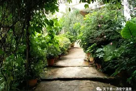 「青出行」摘葡萄享农家菜，七月出行这个地方不容错过~图片