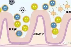 「热点」聊聊益生菌图片