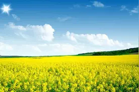 「靓·固阳」包头夏天最美的地方！一年只有一次机会见到！我在固阳等你，不见不散图片