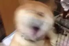 「互动」你能猜出几个？3个关键词猜动漫角色第二弹！图片