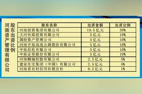 多家豫明星企业现身河南第二家AMC股东阵容，说明了啥？图片