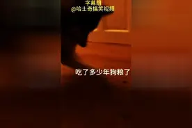 哈士奇吃够了狗粮，耍了点小脾气，配上字幕后，真是跪了图片